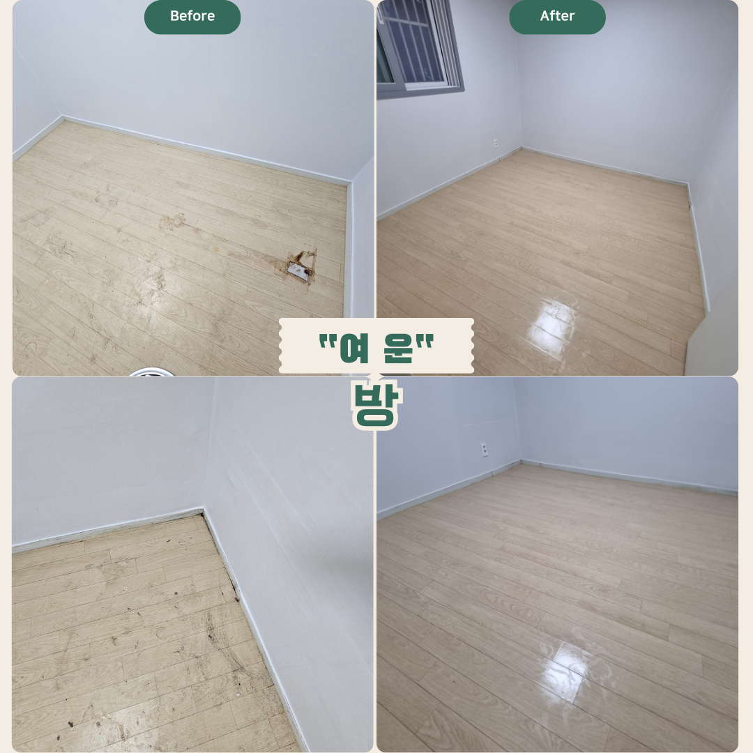 방: 창, 천장·벽면·바닥 청소 — 내부 먼지 및 얼룩 제거