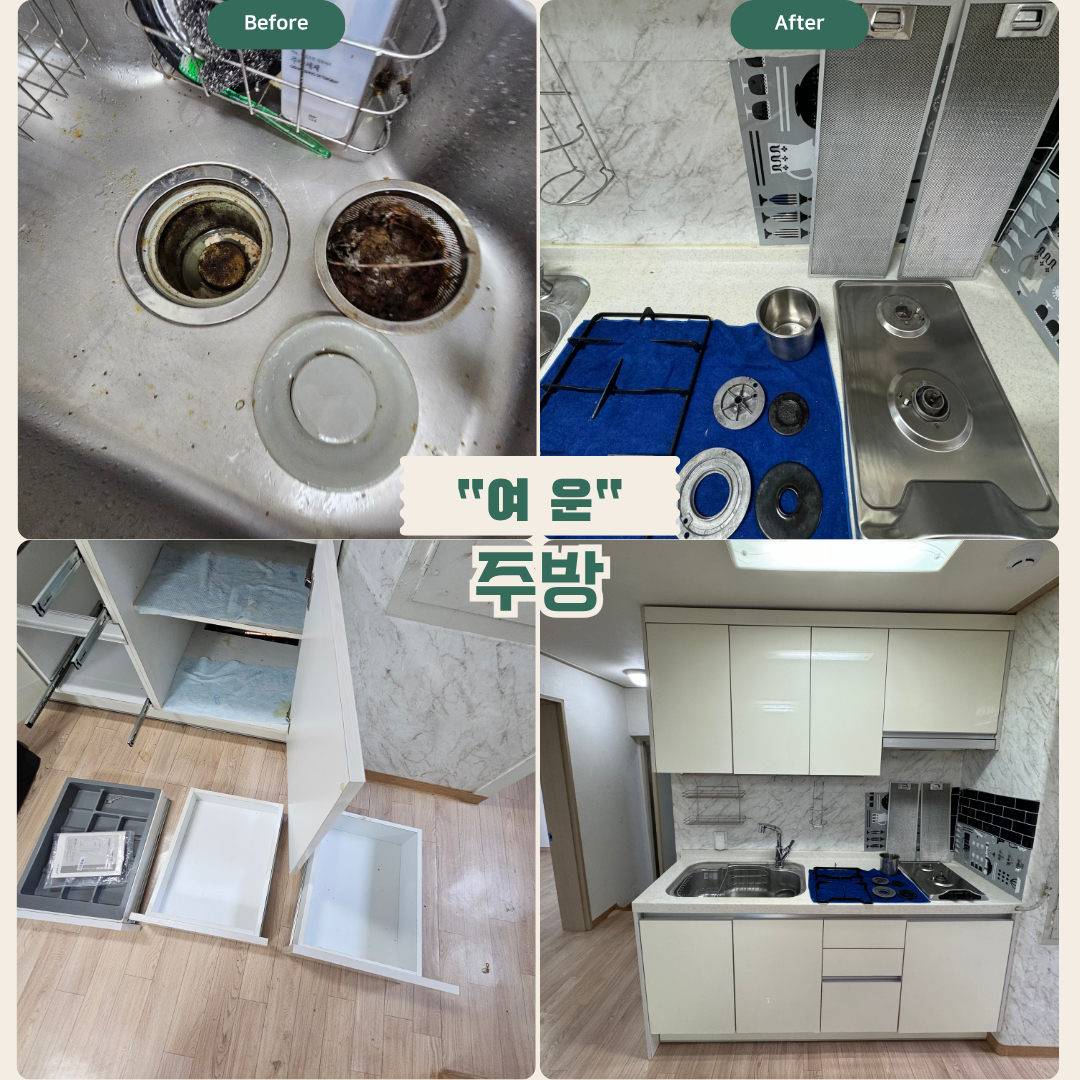 주방: 후드망·싱크대, 상하부장 내부, 선반 안쪽 기름·먼지 제거