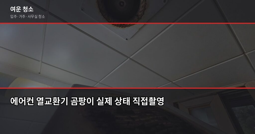 에어컨 곰팡이 청소, 필터 청소로는 안 되는 이유 - 에어컨 열교환기 곰팡이 실제 상태 직접촬영
