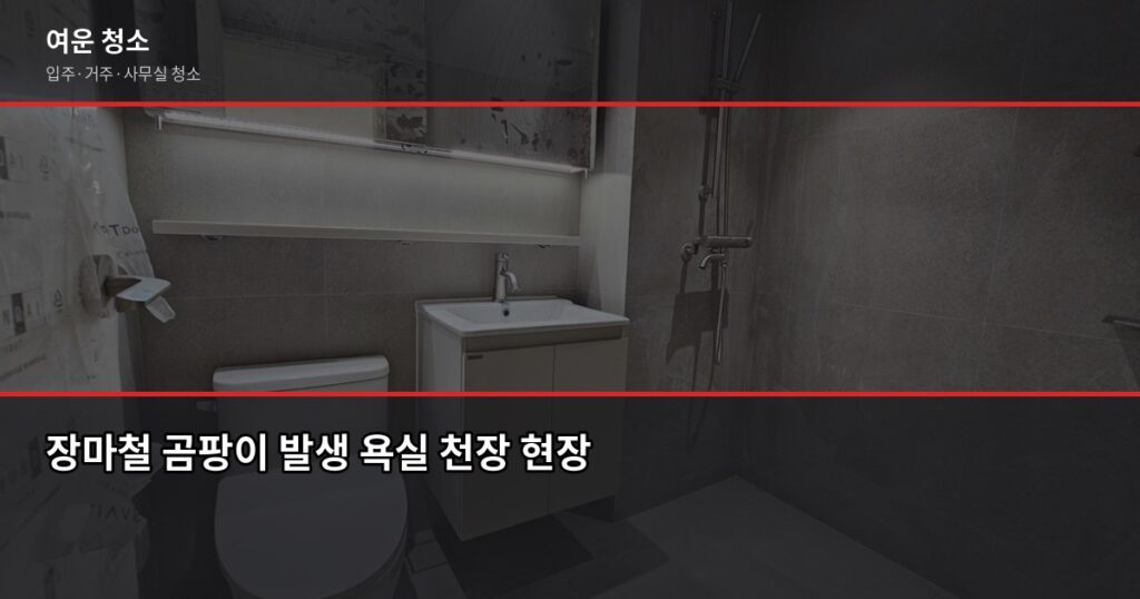 장마철 곰팡이 제거 방법, 욕실·벽지·창문 부위별 셀프 vs 전문 청소 - 장마철 곰팡이 발생 욕실 천장 현장