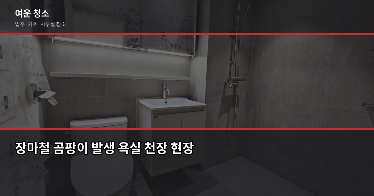 장마철 곰팡이 제거 방법, 욕실·벽지·창문 부위별 셀프 vs 전문 청소 1