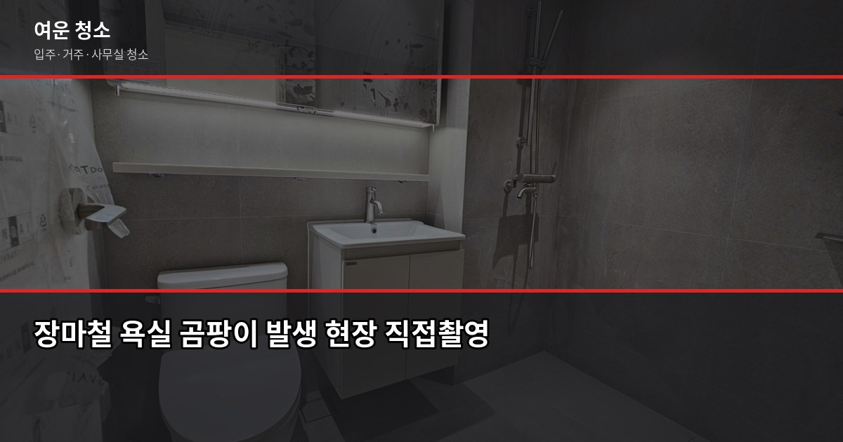 장마철 곰팡이 제거, 셀프로 안 되는 이유와 전문 청소 비용 1