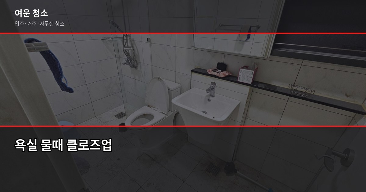 욕실청소세제 어떤 걸 써야 할까? 오염 유형별 효과 비교 2