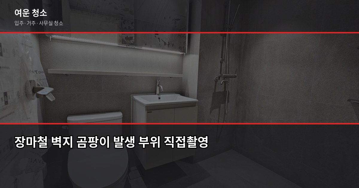 장마철 곰팡이 제거, 셀프로 안 되는 이유와 전문 청소 비용 2