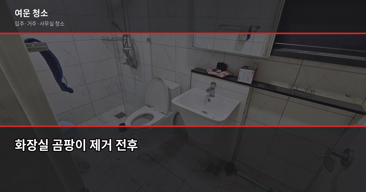 가성비 입주청소, 셀프 vs 업체 비용 비교와 현명한 선택법 2