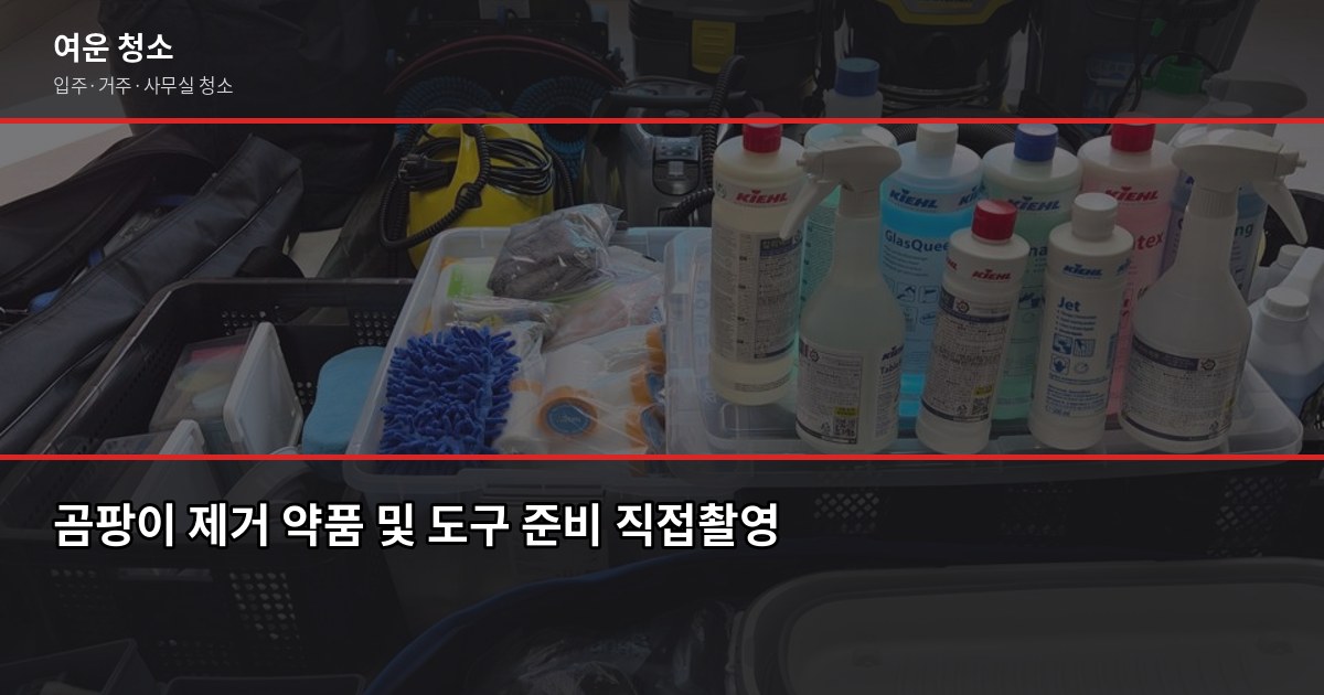 장마철 곰팡이 제거 방법, 욕실·벽지·창문 부위별 셀프 vs 전문 청소 3