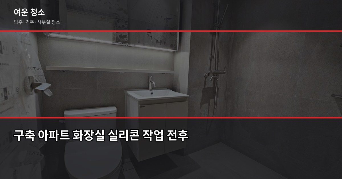 입주청소 셀프 vs 업체 비용 비교, 어떤 선택이 현명할까 3