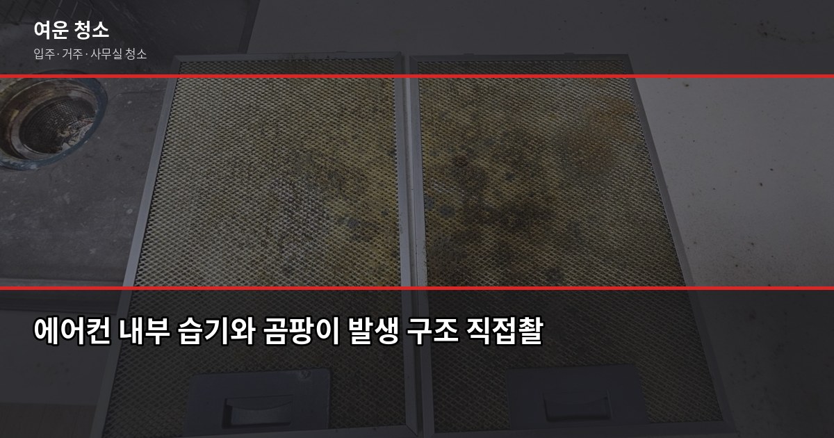 에어컨 곰팡이 청소, 필터 청소로는 안 되는 이유 3