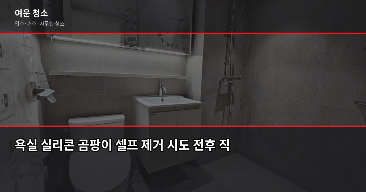 장마철 곰팡이 제거, 셀프로 안 되는 이유와 전문 청소 비용 3