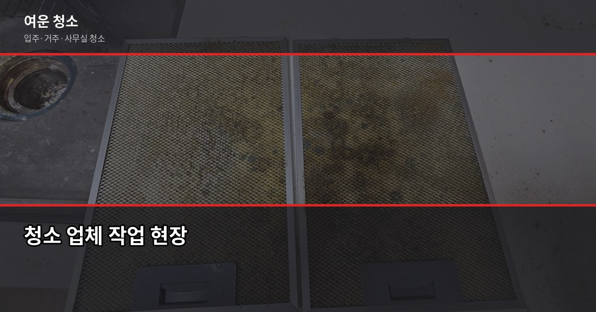 합리적인 청소 비용, 셀프 vs 업체 실제로 계산해봤습니다 3