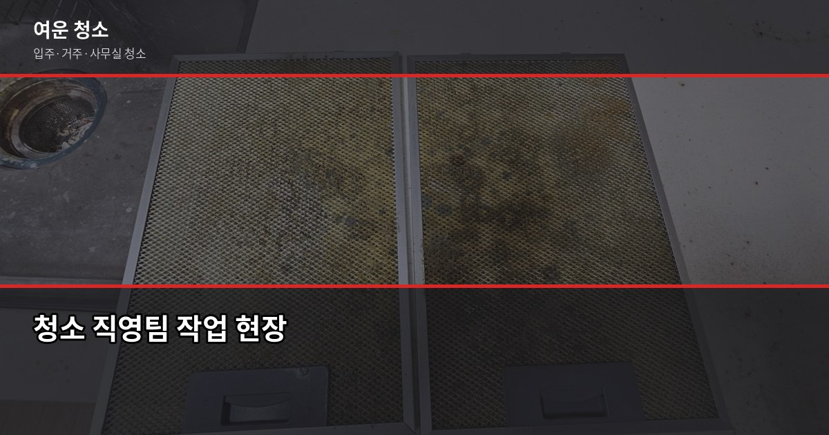 후기 좋은 청소업체 고르는 법, 현장에서 배운 5가지 기준 3