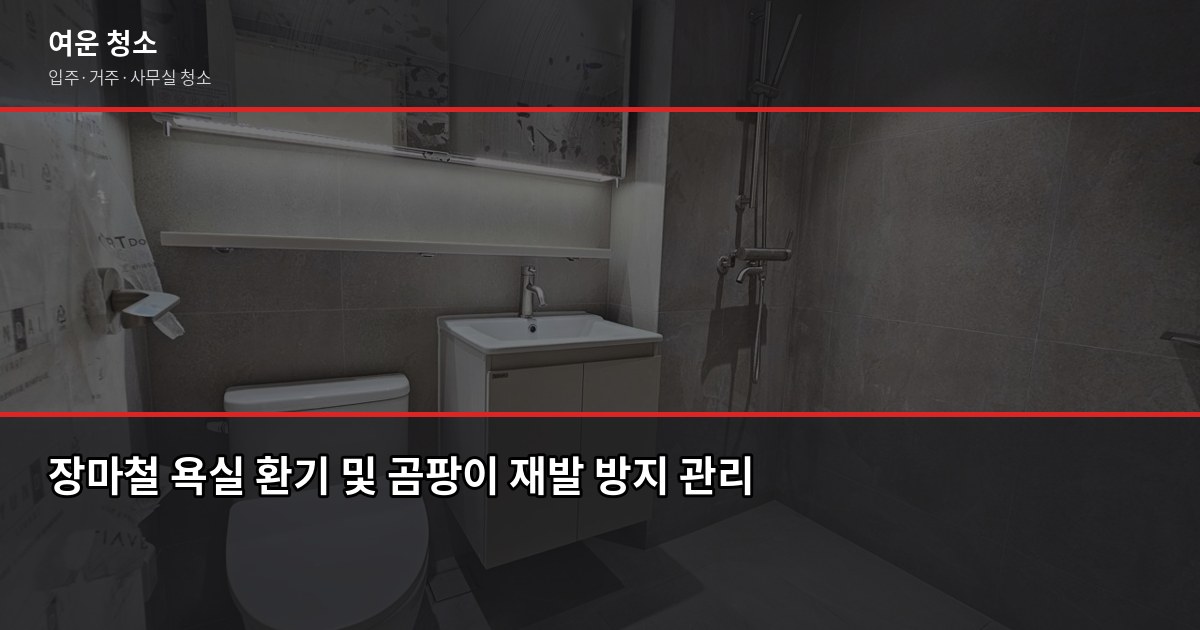 장마철 곰팡이 제거, 셀프로 안 되는 이유와 전문 청소 비용 5