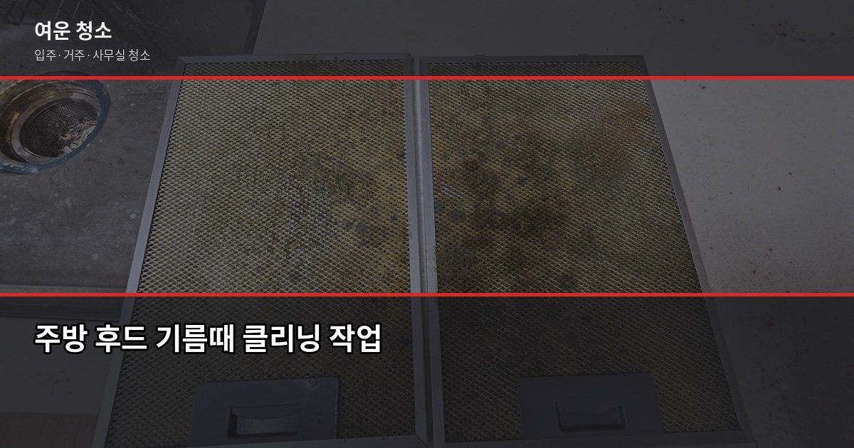 입주청소 셀프 vs 업체 비용 비교, 어떤 선택이 현명할까 5