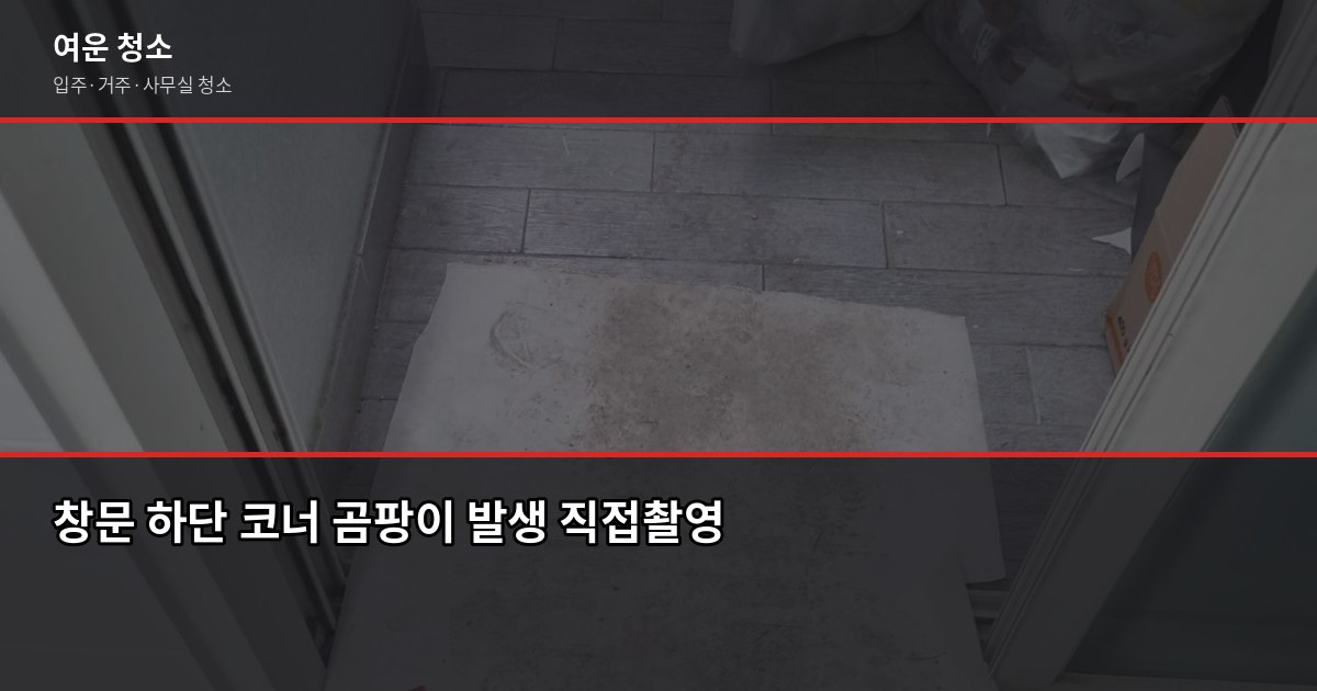 장마철 곰팡이 제거 방법, 욕실·벽지·창문 부위별 셀프 vs 전문 청소 5