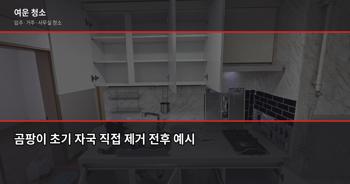여름 곰팡이 예방 청소법, 집에서 바로 할 수 있는 공간별 관리 6