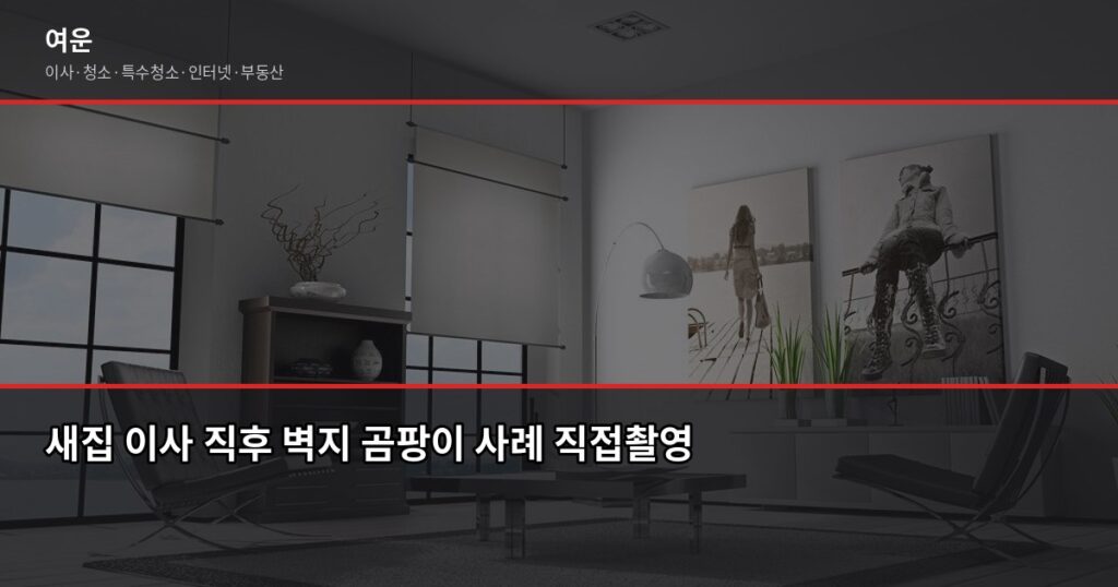 이사 후 새집 곰팡이 예방법, 첫 2주가 승부입니다 - 새집 이사 직후 벽지 곰팡이 사례 직접촬영