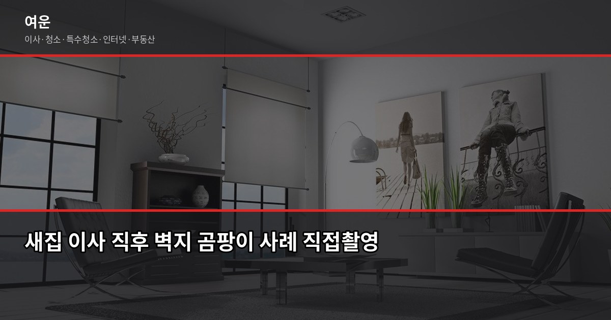 이사 후 새집 곰팡이 예방법, 첫 2주가 승부입니다 1