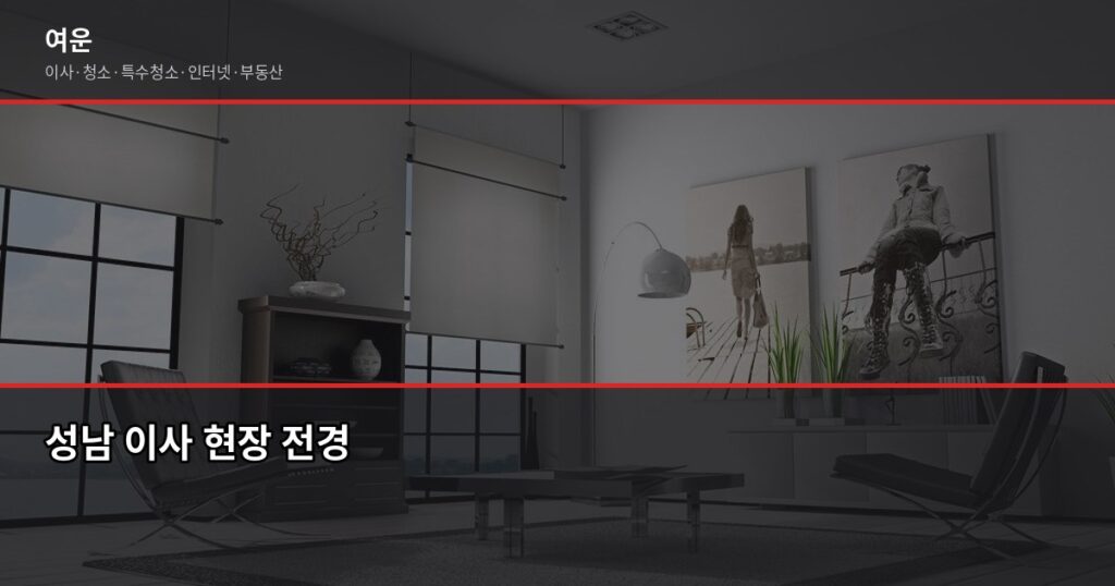 성남 이사비용, 분당·수정·중원구별 포장이사 견적 비교 - 성남 이사 현장 전경