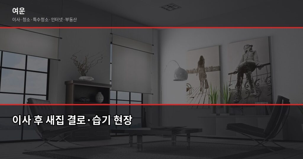 이사 후 새집 습기 관리, 처음 한 달이 가장 중요합니다 - 이사 후 새집 결로·습기 현장