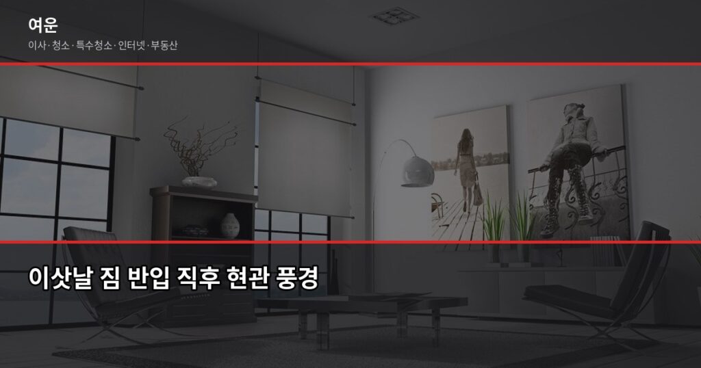 이사팁 정리, 이삿날부터 일주일까지 실제로 쓸 수 있는 것들 - 이삿날 짐 반입 직후 현관 풍경