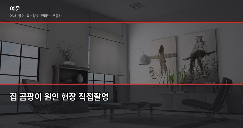 집 곰팡이 원인과 해결, 올여름 바뀐 환경부 권고 기준까지 - 집 곰팡이 원인 현장 직접촬영