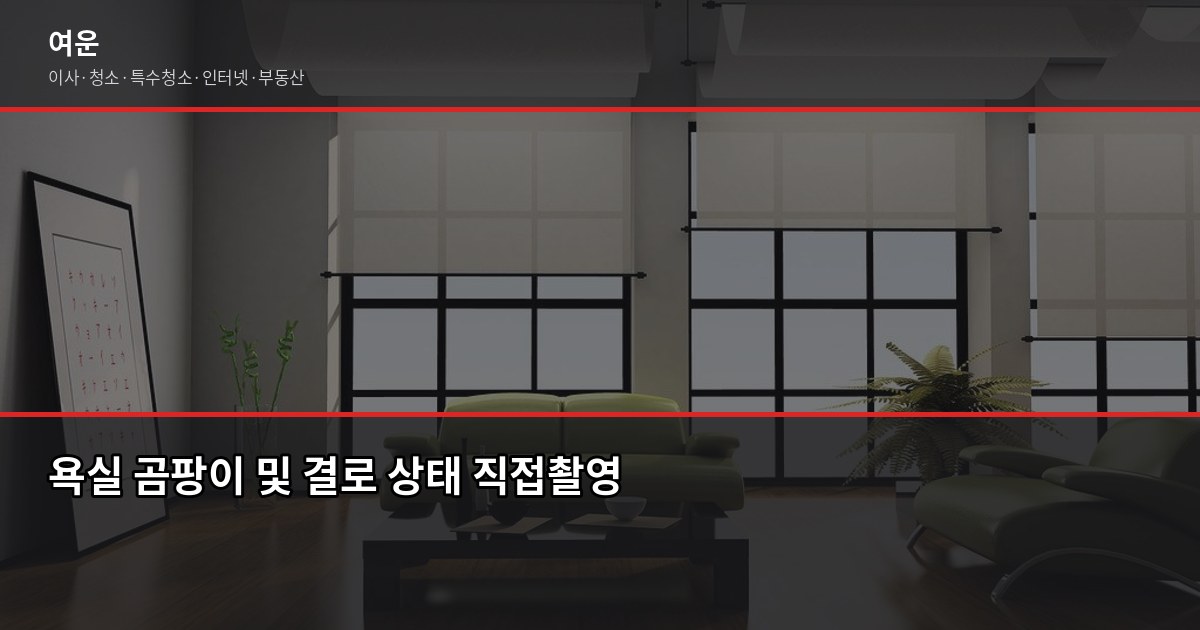 이사 후 냄새 제거, 90%가 놓치는 한 가지 2