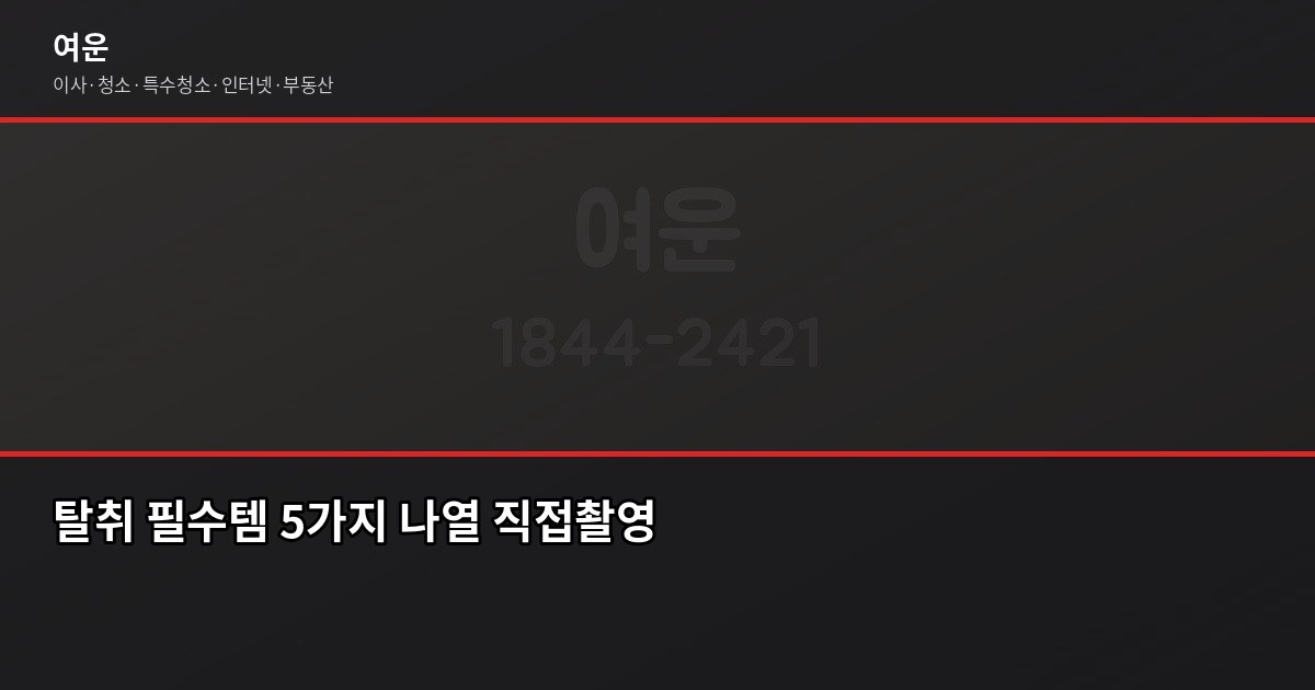 자취 처음 시작할 때 필수템, 새집 냄새 잡는 법 4
