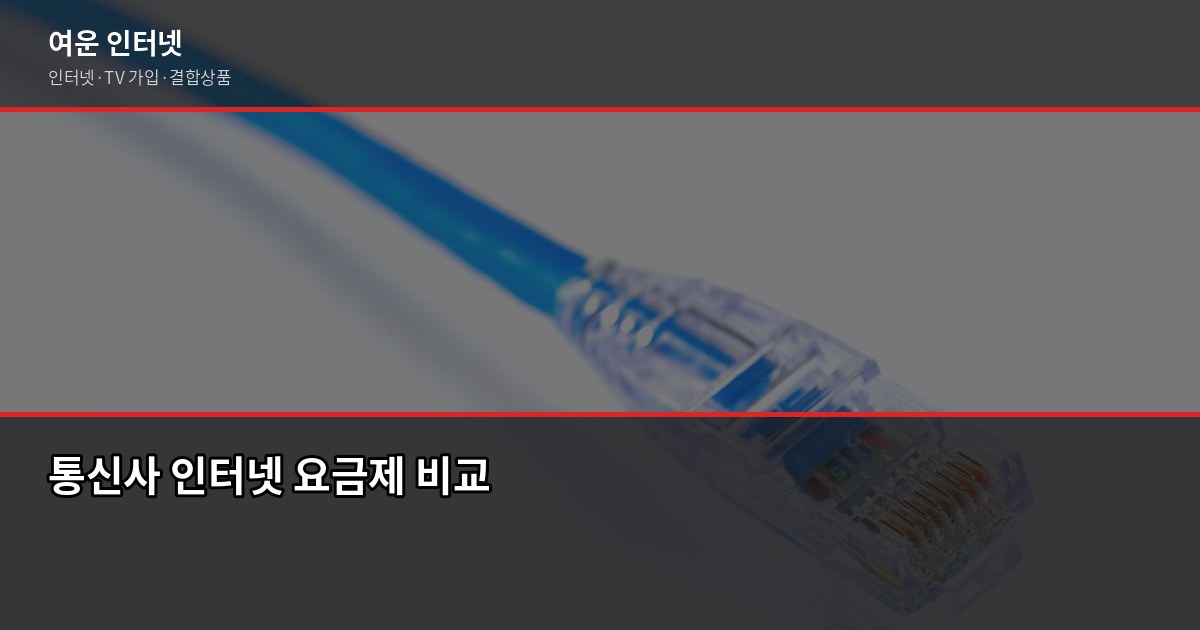 인터넷 요금제 선택 기준, 같은 통신사인데 왜 금액이 달라질까 1