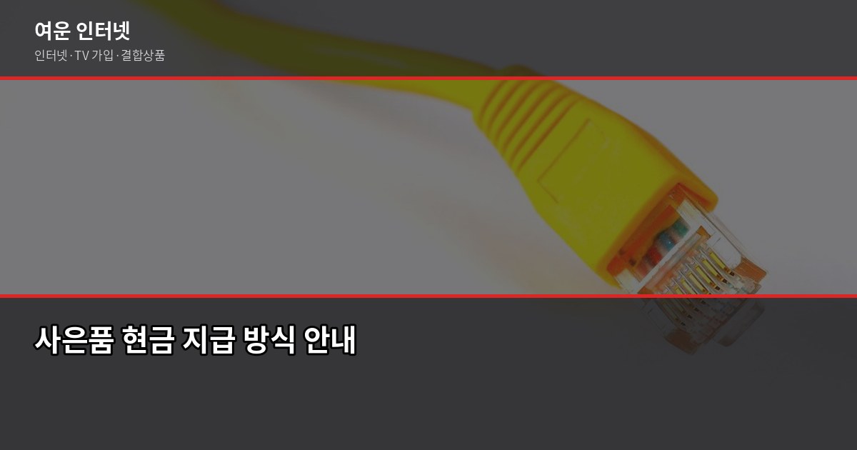 인터넷 어디가 싸나? 통신사별 사은품과 요금 비교 (2026) 3