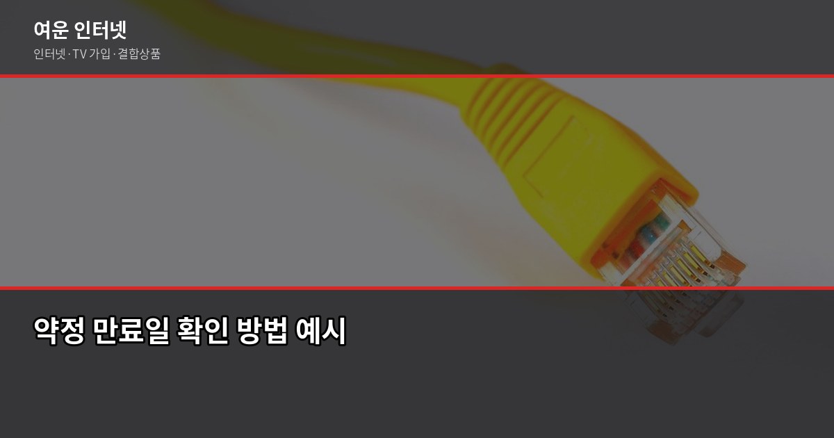 인터넷 약정 갱신 시즌, 놓치면 손해 보는 타이밍과 확인 사항 3