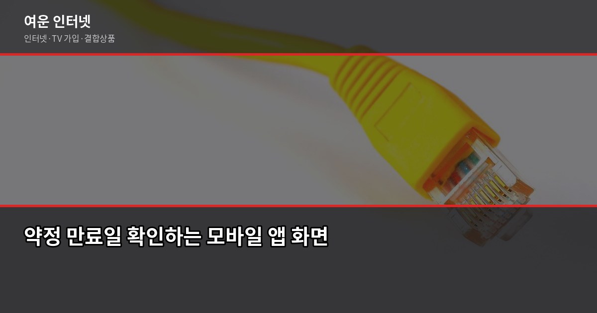 인터넷 해지 전 확인사항 5가지, 위약금 계산부터 번호이동까지 3