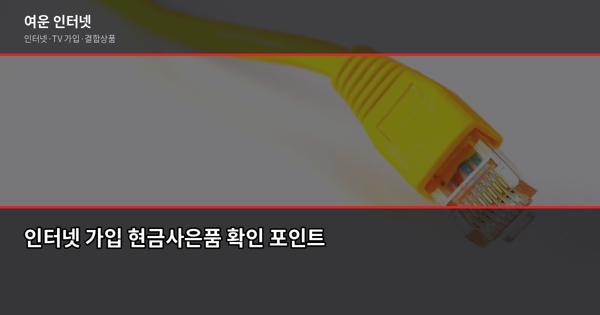 인터넷 가입 현금사은품 받는 법, 최대 48만원 챙기는 순서 3