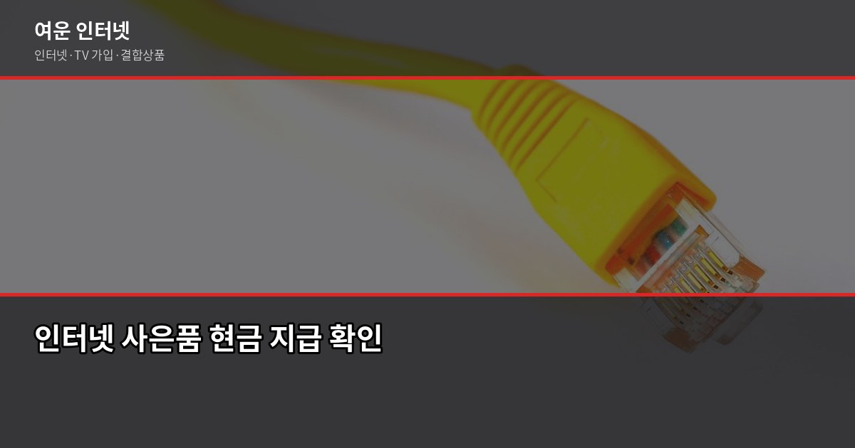 인터넷 가입 혜택, 아끼려다 오히려 더 손해 보는 경우가 있습니다 3