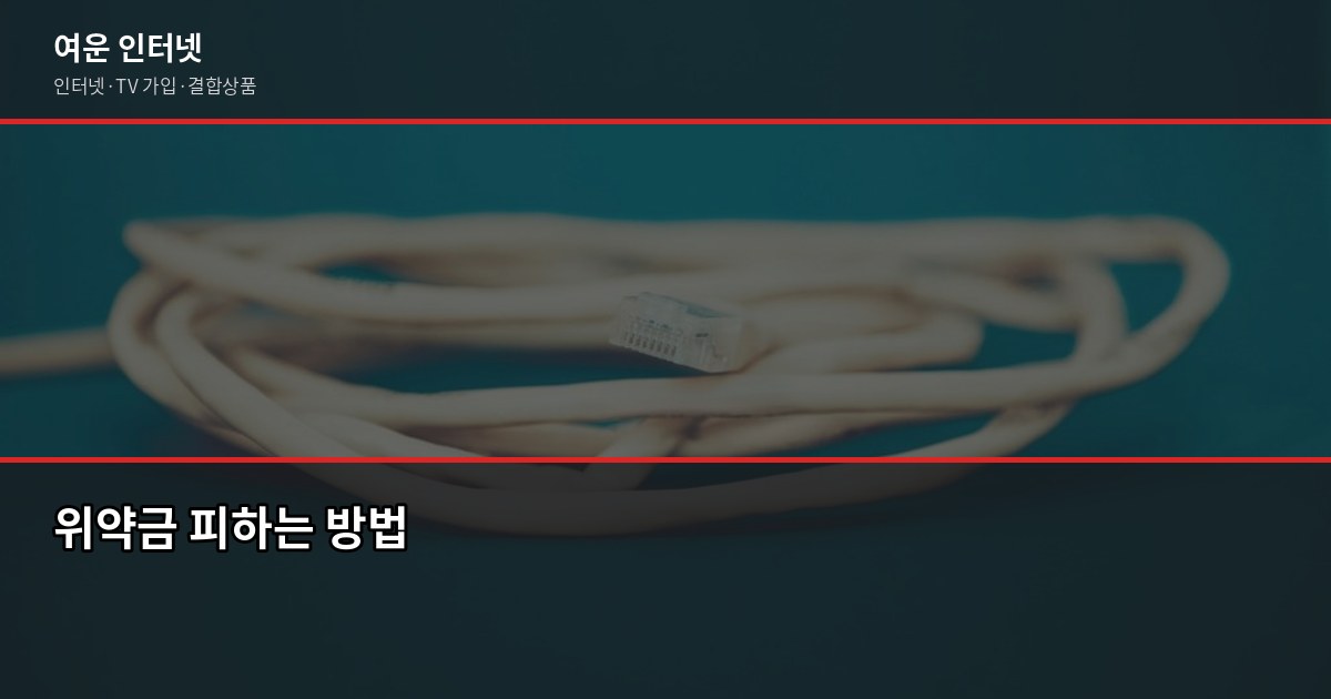 인터넷 가입 후 가장 후회한 한 가지, 약정 조건 몰랐다가 4