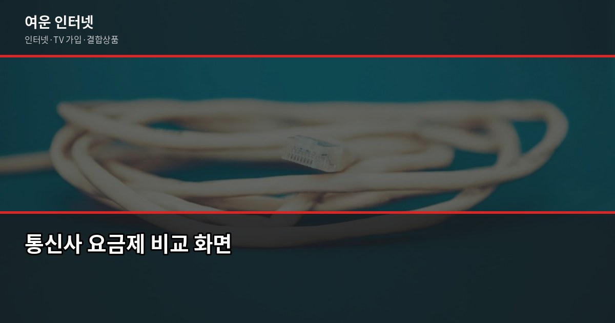 인터넷 약정 2년 vs 3년, 지인한테 물어보면 이렇게 알려줍니다 4