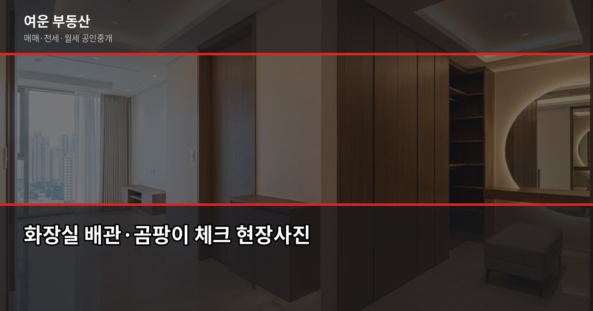 임장 갈 때 확인할 것들, 초보자가 놓치기 쉬운 핵심 포인트 3