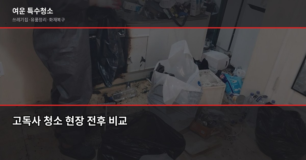의정부시 고독사 청소 전문, 현장 대응부터 마무리까지 1