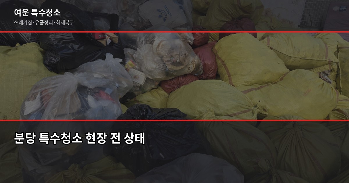 분당 특수청소 추천, 업체 고를 때 꼭 확인할 5가지 1