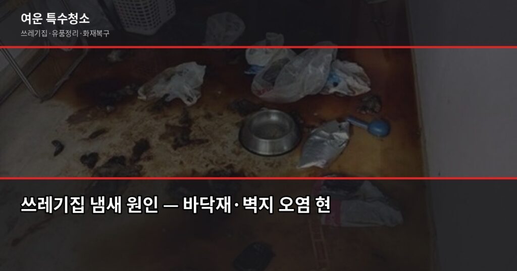 쓰레기집 냄새 제거, 유품정리 전문업체 선택이 핵심입니다 - 쓰레기집 냄새 원인 — 바닥재·벽지 오염 현장 직접촬영