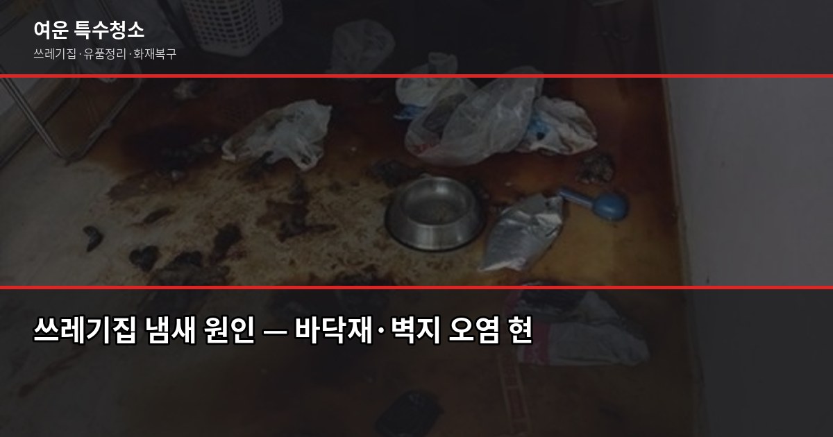 쓰레기집 냄새 제거, 유품정리 전문업체 선택이 핵심입니다 1