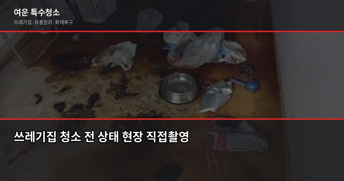 쓰레기집 직접 청소하면 오히려 손해인 이유 1