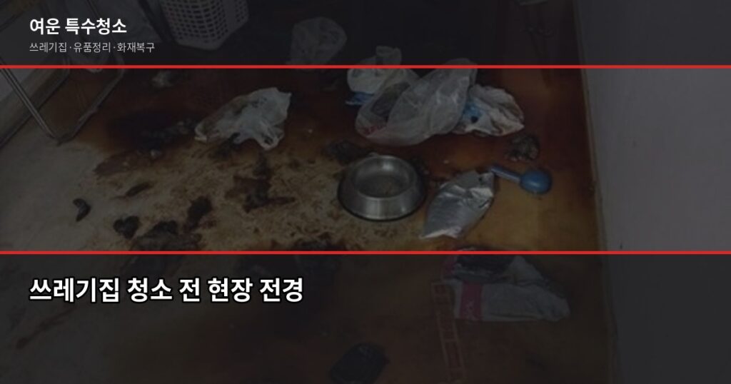 쓰레기집 청소 비용, 2026년 달라진 현장 비용 구조 총점검 - 쓰레기집 청소 전 현장 전경