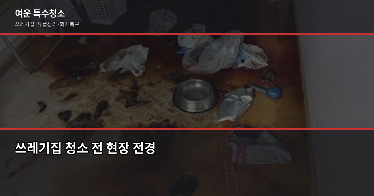 쓰레기집 청소 비용, 2026년 달라진 현장 비용 구조 총점검 1