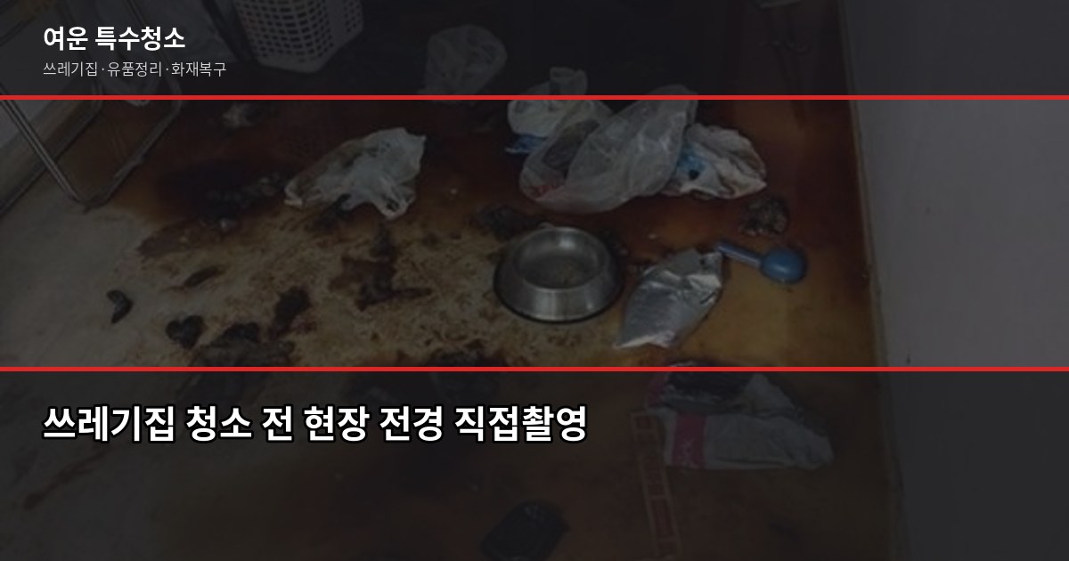 쓰레기집 청소, 혼자 시작하면 안 되는 진짜 이유 1