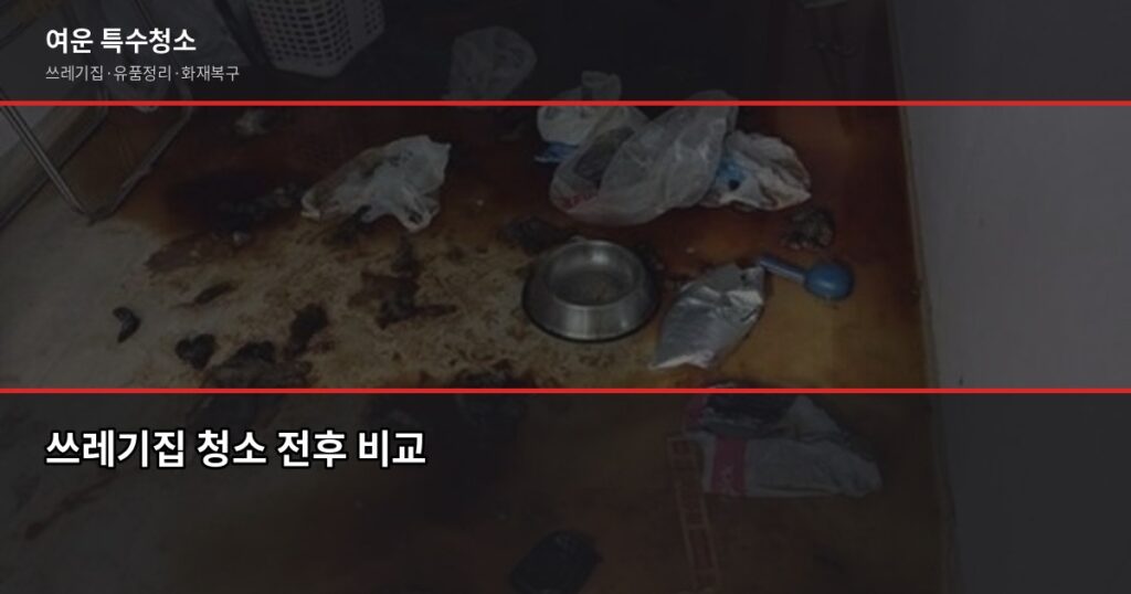 쓰레기집 청소, 어디에 연락해야 할까? 원룸 기준 50만원대부터 시작합니다 - 쓰레기집 청소 전후 비교