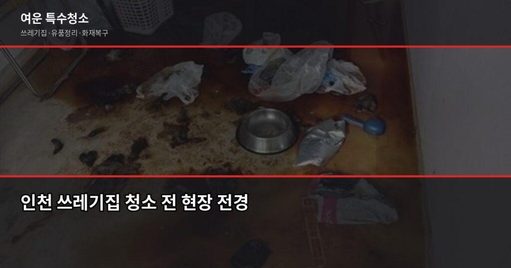 인천 쓰레기집 청소, 비용과 진행 과정 한 번에 정리 - 인천 쓰레기집 청소 전 현장 전경
