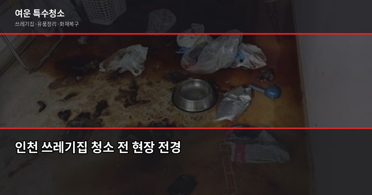 인천 쓰레기집 청소, 비용과 진행 과정 한 번에 정리 1