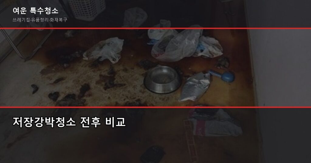 저장강박청소 비용, 신고 방법, 가족 대처법까지 - 저장강박청소 전후 비교