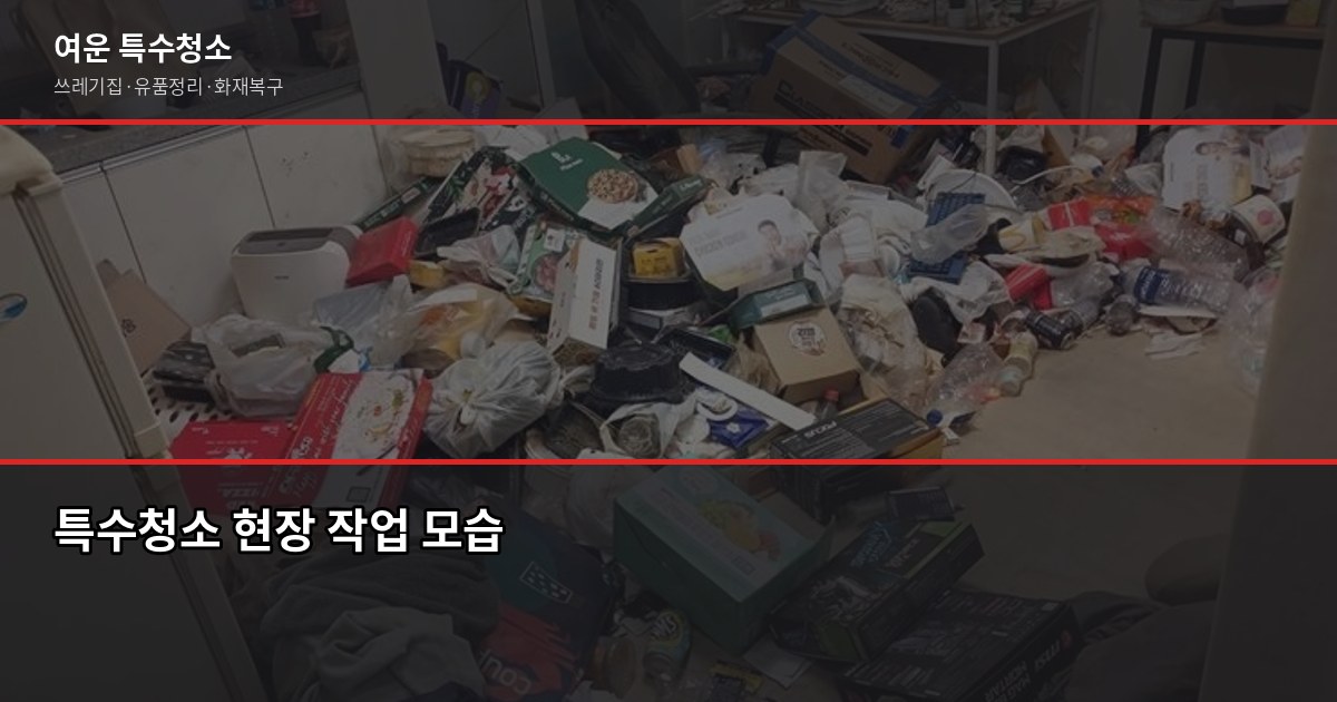 전문특수청소업체, 원룸 쓰레기집 50만원부터.. 곰팡이·화재복구 가격 정리 1