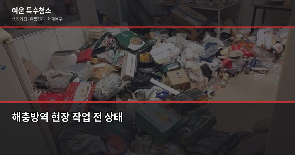 해충방역업체 고를 때 후회하는 3가지, 계약 전에 꼭 확인하세요 - 해충방역 현장 작업 전 상태